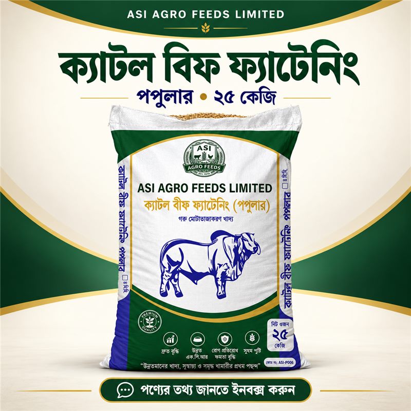 ক্যাটল বিফ ফ্যাটেনিং পপুলার