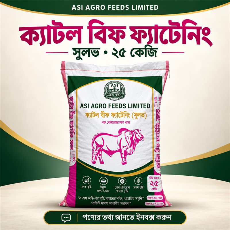ক্যাটল বিফ ফ্যাটেনিং সুলভ