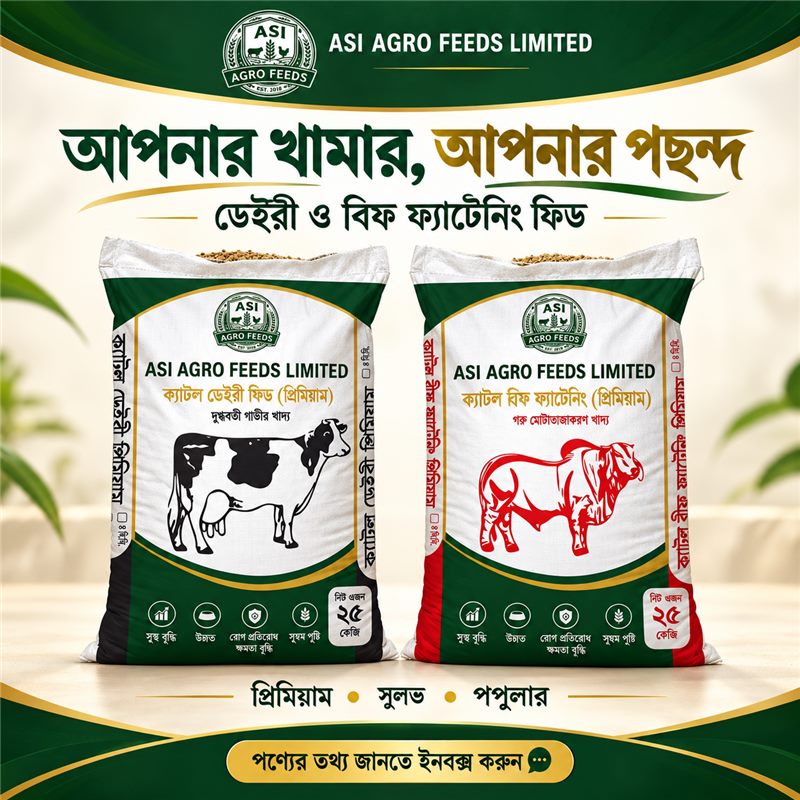 ডেইরী ও বিফ ফ্যাটেনিং ফিড