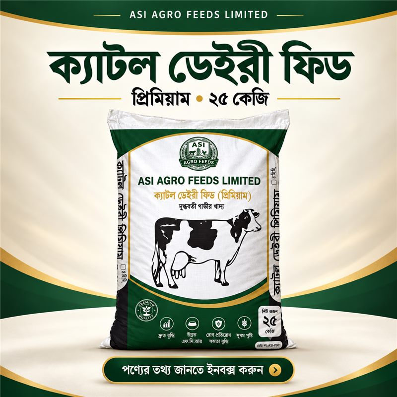 ক্যাটল ডেইরী ফিড প্রিমিয়াম